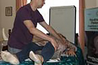 Polarity Therapy training #1